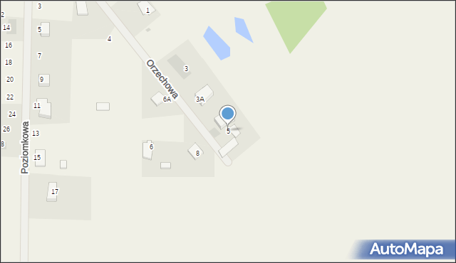 Bieniewice, Orzechowa, 5, mapa Bieniewice