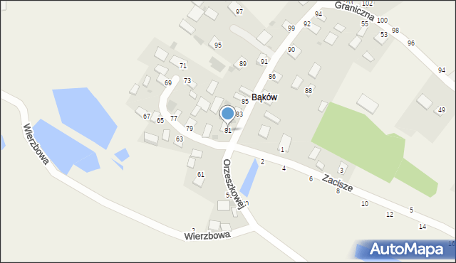 Brandwica, Orzeszkowej Elizy, 81, mapa Brandwica