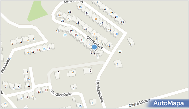 Gostyń, Orzechowa, 3, mapa Gostyń