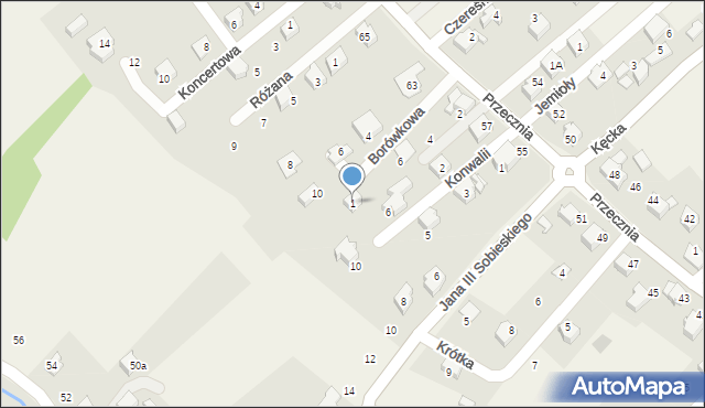 Kozy, Orchidei, 1, mapa Kozy