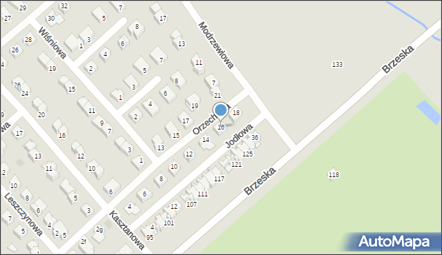 Międzyrzec Podlaski, Orzechowa, 16, mapa Międzyrzec Podlaski