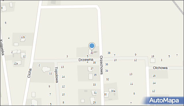 Nowy Zbrachlin, Orzechowa, 41, mapa Nowy Zbrachlin