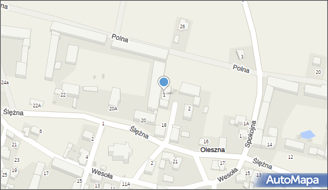 Oleszna, Orzechowa, 1, mapa Oleszna