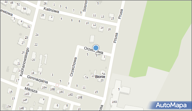 Skaryszew, Orzechowa, 3, mapa Skaryszew