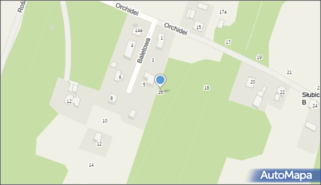 Słubica B, Orchidei, 16, mapa Słubica B