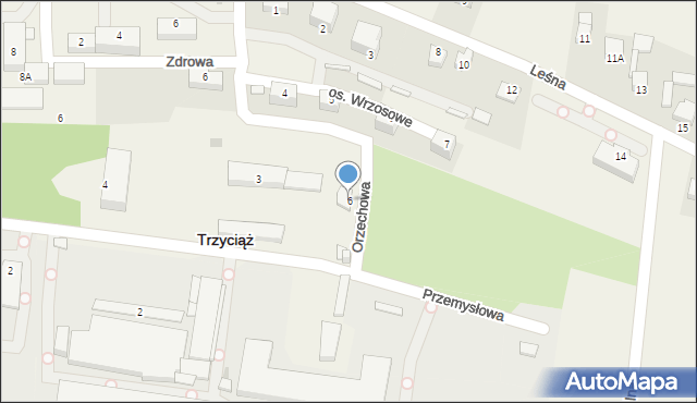 Trzyciąż, Orzechowa, 6, mapa Trzyciąż