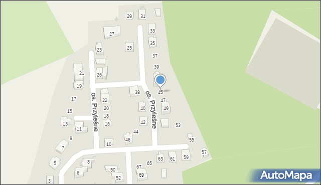 Czernin, Osiedle Przyleśne, 45, mapa Czernin