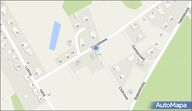 Kruszyn Krajeński, Osikowa, 1, mapa Kruszyn Krajeński