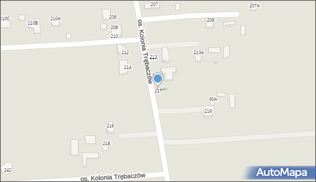 Łęczna, Osiedle Kolonia Trębaczów, 217, mapa Łęczna