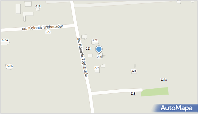 Łęczna, Osiedle Kolonia Trębaczów, 225, mapa Łęczna