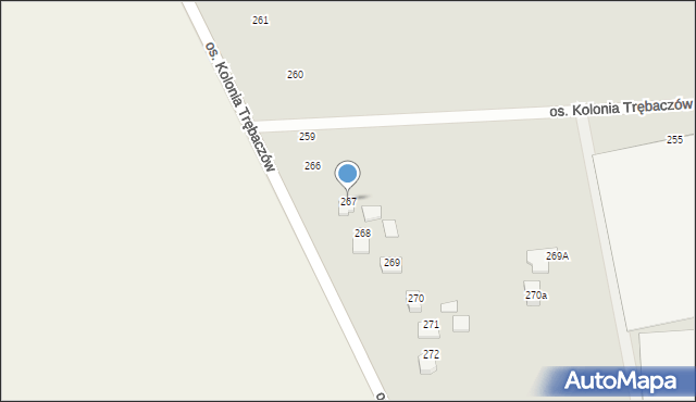 Łęczna, Osiedle Kolonia Trębaczów, 267, mapa Łęczna