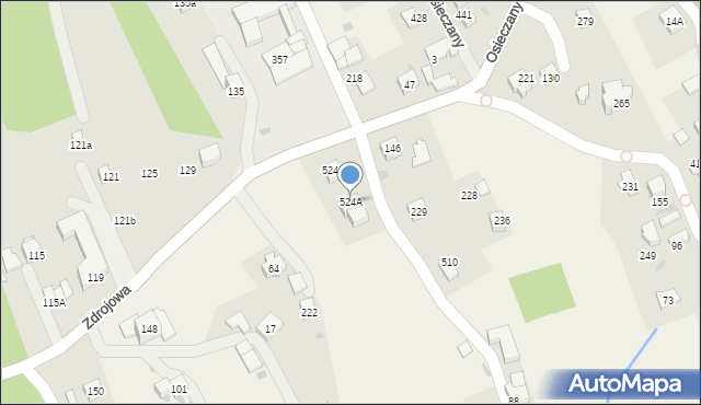 Osieczany, Osieczany, 524A, mapa Osieczany