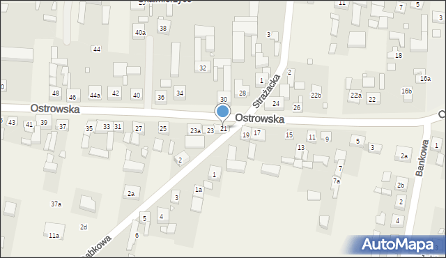 Skalmierzyce, Ostrowska, 21, mapa Skalmierzyce