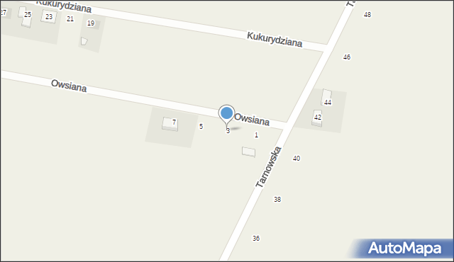 Piechanin, Owsiana, 3, mapa Piechanin