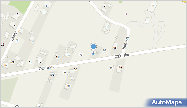 Chrząstowice, Ozimska, 81, mapa Chrząstowice