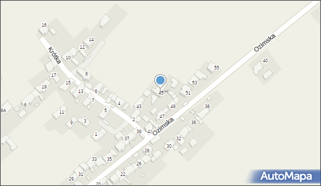 Daniec, Ozimska, 45, mapa Daniec