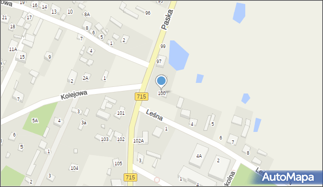 Budziszewice, Paska Jana Chryzostoma, 100, mapa Budziszewice