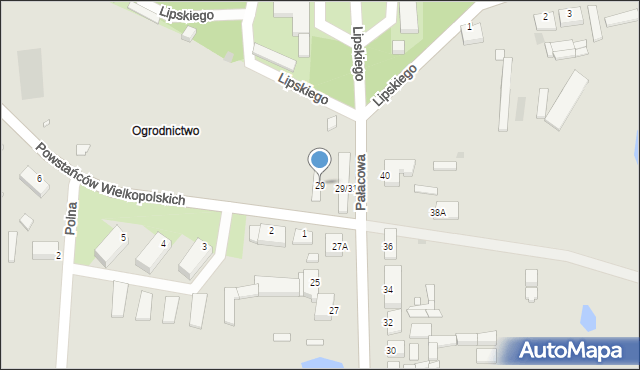 Czerniejewo, Pałacowa, 29, mapa Czerniejewo