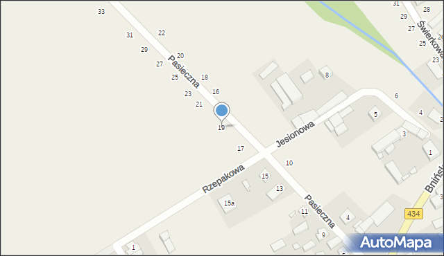 Czmoń, Pasieczna, 19, mapa Czmoń