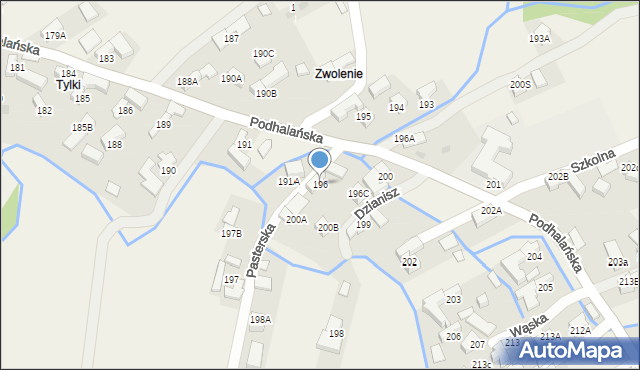 Dzianisz, Pasterska, 1, mapa Dzianisz