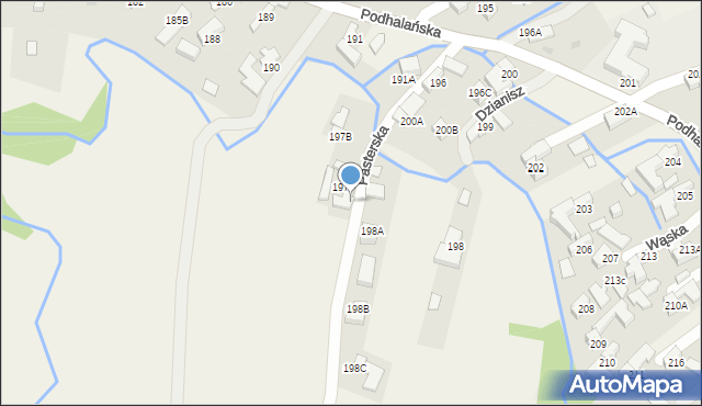 Dzianisz, Pasterska, 4, mapa Dzianisz