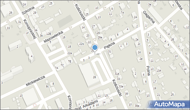 Golub-Dobrzyń, Palmowa, 1, mapa Golub-Dobrzyń