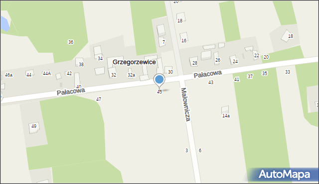 Grzegorzewice, Pałacowa, 45, mapa Grzegorzewice