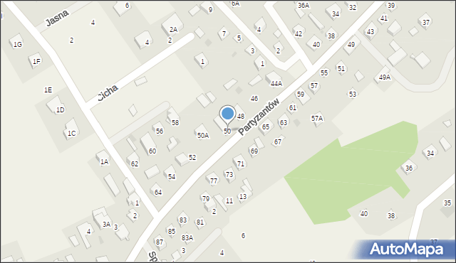 Leoncin, Partyzantów, 50, mapa Leoncin