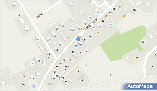 Leoncin, Partyzantów, 75, mapa Leoncin