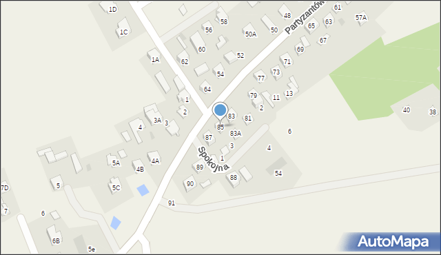 Leoncin, Partyzantów, 85, mapa Leoncin