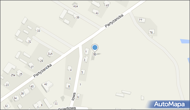 Mełgiew, Partyzancka, 50, mapa Mełgiew