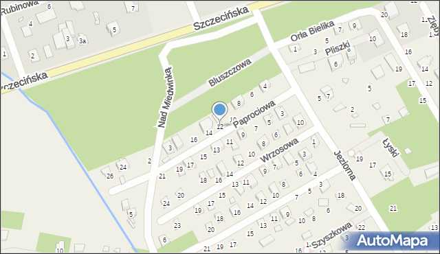 Morzyczyn, Paprociowa, 12, mapa Morzyczyn