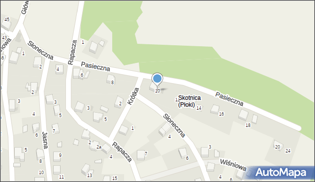 Płoki, Pasieczna, 10, mapa Płoki