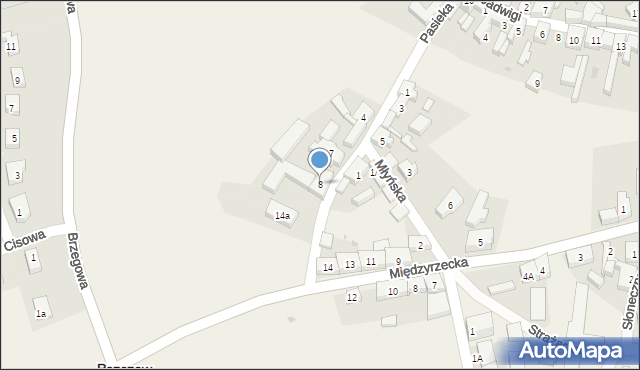 Pszczew, Pasieka, 8, mapa Pszczew