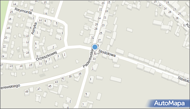 Rawicz, Paderewskiego Ignacego Jana, 31a, mapa Rawicz