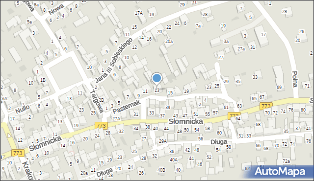 Skała, Pasternak, 13, mapa Skała