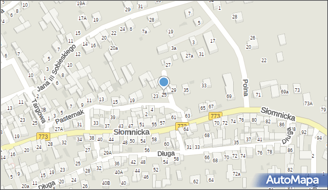 Skała, Pasternak, 25, mapa Skała