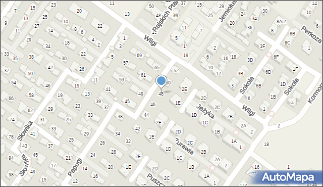 Zgorzała, Papugi, 48, mapa Zgorzała