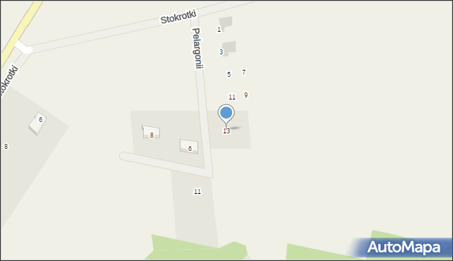 Czapielsk, Pelargonii, 13, mapa Czapielsk