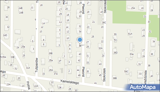 Nowa Wieś, Piwonii, 38, mapa Nowa Wieś