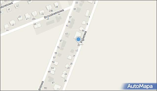 Osiek, Pigwowa, 10, mapa Osiek