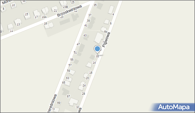 Osiek, Pigwowa, 12, mapa Osiek