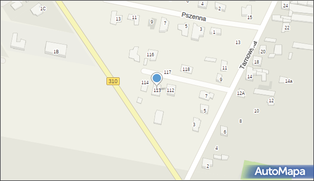 Piechanin, Piechanin, 113, mapa Piechanin