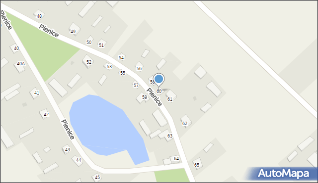 Pienice, Pienice, 60, mapa Pienice