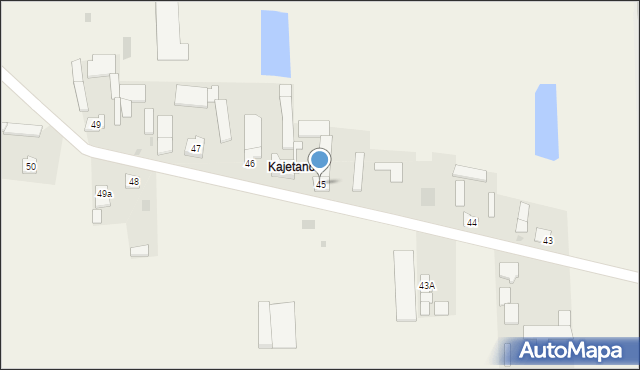 Pijanów, Pijanów, 45, mapa Pijanów