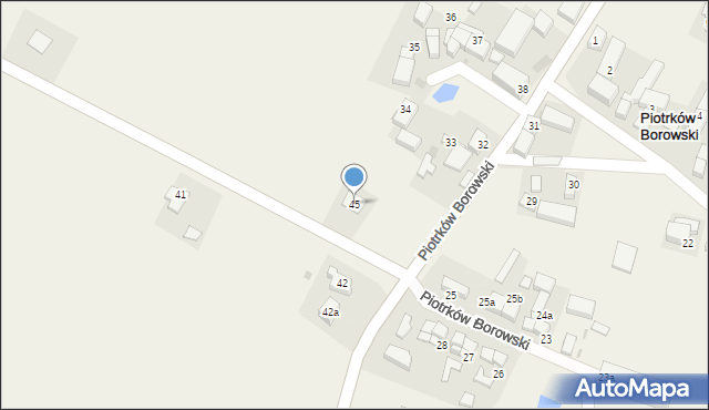 Piotrków Borowski, Piotrków Borowski, 45, mapa Piotrków Borowski