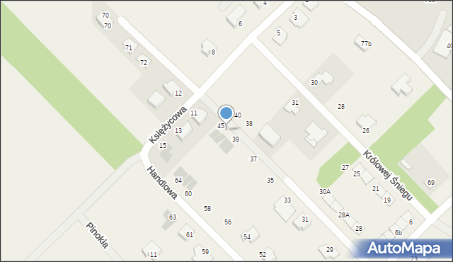 Rybienko Nowe, Piotrusia Pana, 43, mapa Rybienko Nowe