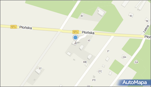Borkowo, Płońska, 45, mapa Borkowo