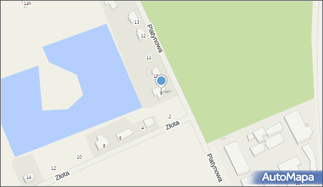 Dzierżów, Platynowa, 9, mapa Dzierżów