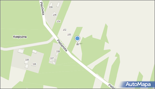 Dzikowiec, Plebańska, 98, mapa Dzikowiec